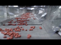 Τεχνική γραμμή επεξεργασίας τροφίμων για κατοικίδια