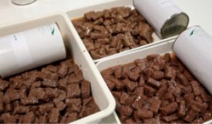 Επαγγελματική Γραμμή Επεξεργασίας Τροφών για Κατοικίδια / Μηχανήματα για Τροφές Ζώων