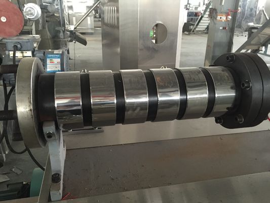 100 kg/ώρα Αερομεταφερόμενη γραμμή παραγωγής ζωοτροφών ιχθύων